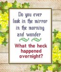 (image for) Look in the Mirror